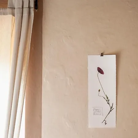 Kır Evi La Costa - *