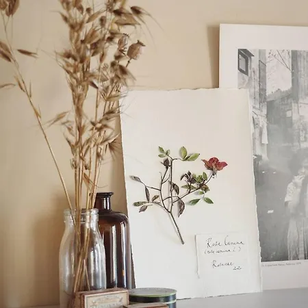 La Costa - Kır Evi Rovagnate