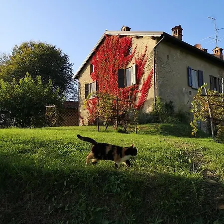 La Costa - Rovagnate