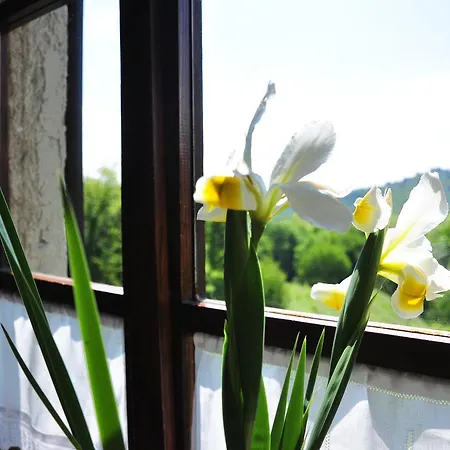 Летний дом Agriturismo La Costa *