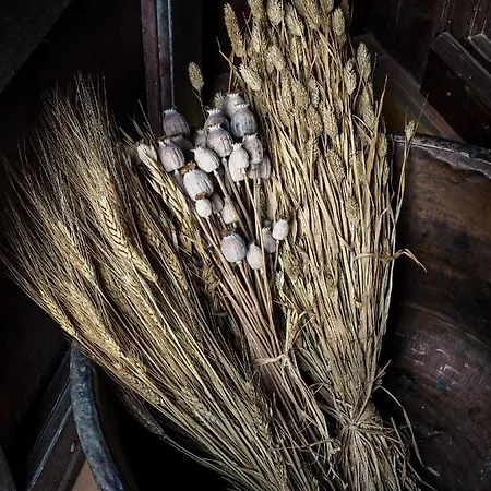 Casa rural La Costa